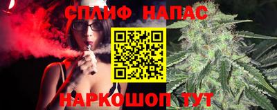 прущие грибы Апрелевка
