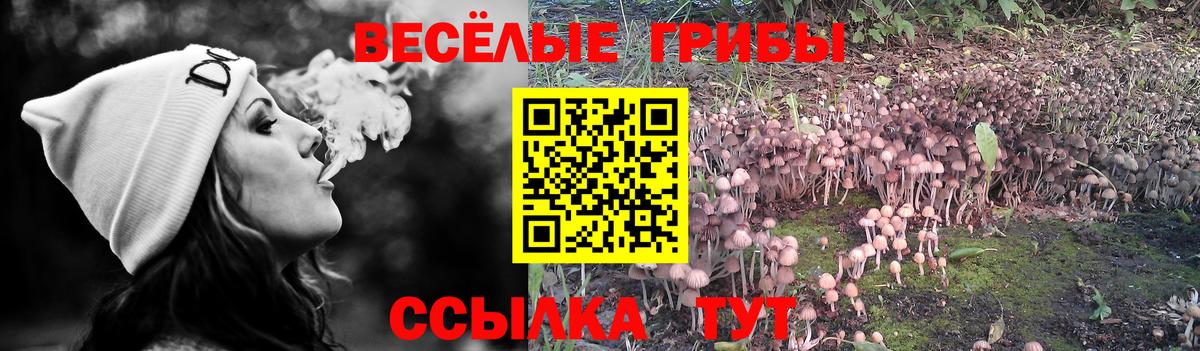 Вичуга  Псилоцибиновые грибы Magic Shrooms  Вход с VPN 